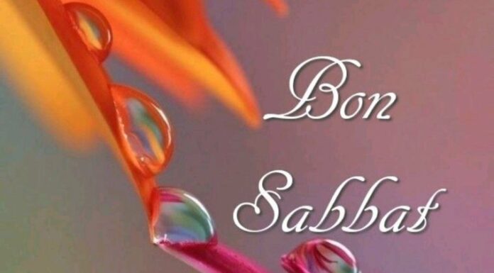 Toute l’équipe d’AshdodCafé vous souhaite «Shabbat Shalom», date, horaires, paracha