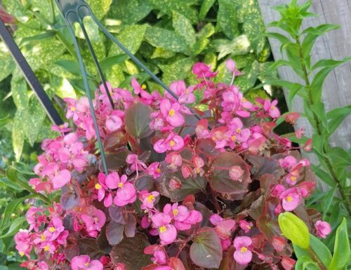 Toute l’équipe d’AshdodCafé vous souhaite «Shabbat Shalom» : date, horaires, paracha