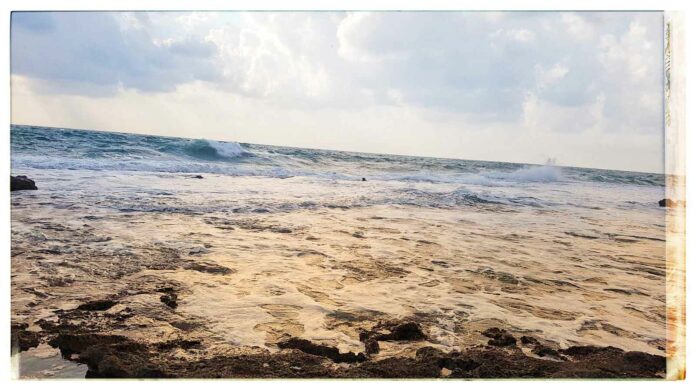 Ashdod : Le projet ″Sea Spécific″, vous concerne si vous êtes un artiste dans tous les domaines de la création