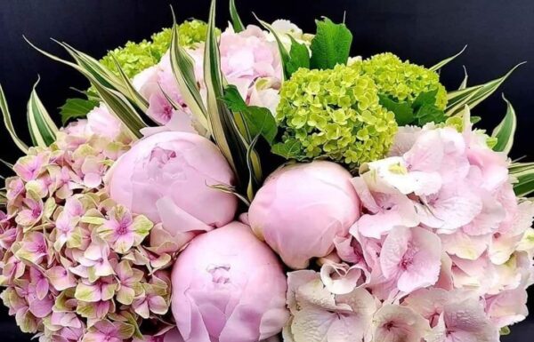 Toute l’équipe d’AshdodCafé vous souhaite «Shabbat Shalom» : date, horaires, paracha