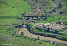 Souccot 2022 : Activités à travers Israël