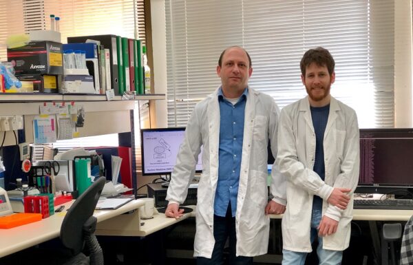 Un nouveau test sanguin pour détecter les anomalies fœtales développé à l’Université de Tel-Aviv