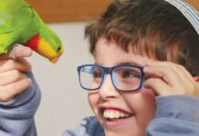 Animal Angels : association israélienne à but non lucratif proposant des thérapies animales