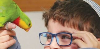 Animal Angels : association israélienne à but non lucratif proposant des thérapies animales