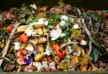 Le gouvernement veut inciter les Israéliens à trier leurs déchets alimentaires