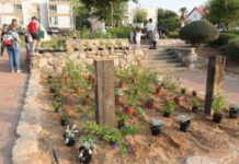 Le premier jardin des papillons à Ashdod
