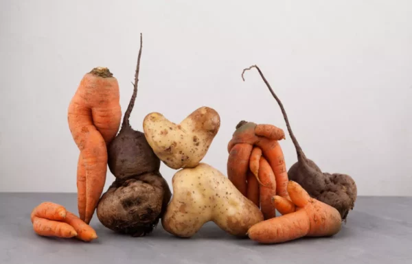 Basée à Ashdod, Anina est une start-up incroyable