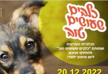 Une journée d’adoption de chiens « thérapeutiques » sera organisée à Ashdod le 20 décembre prochain