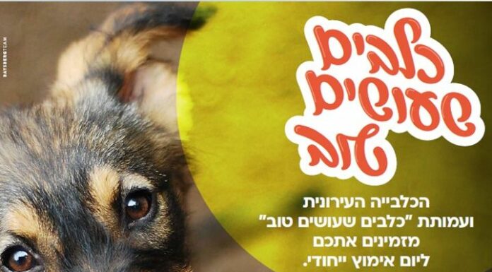 Une journée d’adoption de chiens « thérapeutiques » sera organisée à Ashdod le 20 décembre prochain