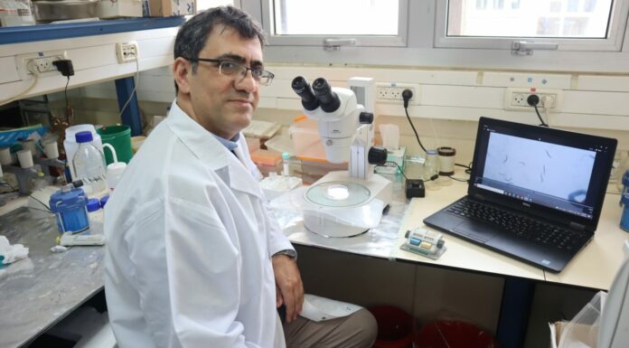 Traitement de la maladie d’Alzheimer très précoce en cours de développement