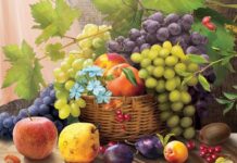 « Tou Bichvat » – Règles relatives aux bénédictions alimentaires