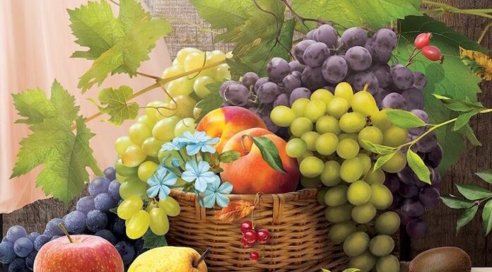 « Tou Bichvat » – Règles relatives aux bénédictions alimentaires