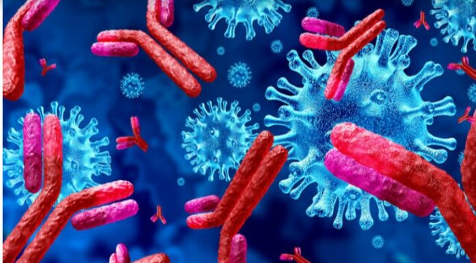 Une percée israélienne dans le domaine de la thérapie : créer des anticorps monoclonaux thérapeutiques par ordinateur