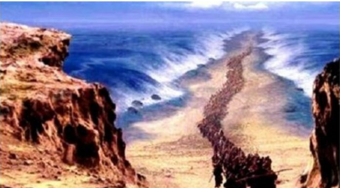 Pessah, fête de la rédemption !