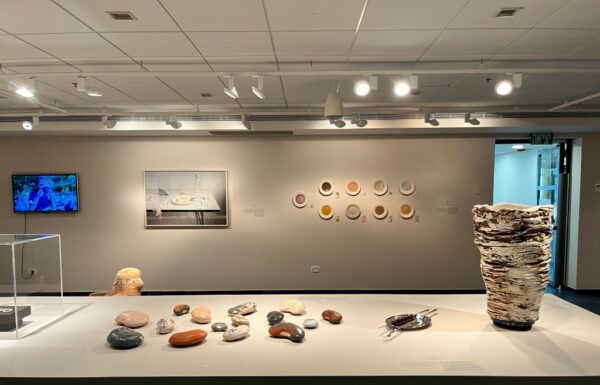 Ashdod : nourriture en mouvement !