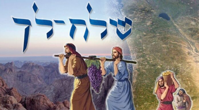 Toute l’équipe d’AshdodCafé vous souhaite «Shabbat Shalom» : date, horaires, parasha