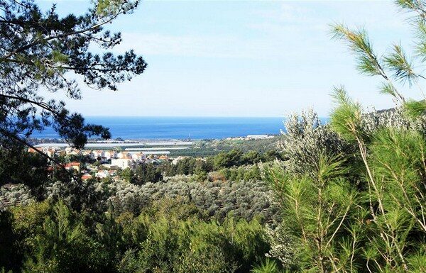 En Israël, des kibboutzim se réinventent, loin du socialisme des débuts