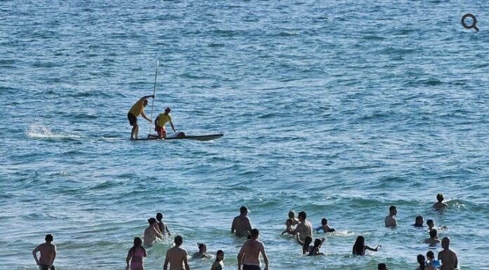 Les sauveteurs de la plage d’Ashdod ont sauvé une tortue de mer épuisée (vidéo)