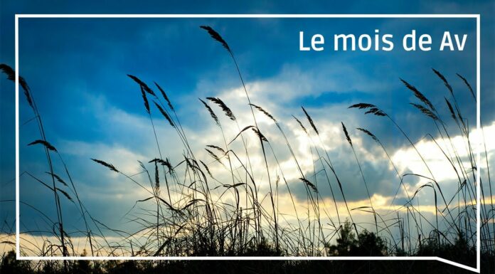 Le mois de AV par le Dr Caroline Elisheva Rebouh