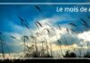 « Dès le début du mois de AV, nous diminuons la joie » -règles et principes – 5784