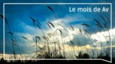 Le mois de AV par le Dr Caroline Elisheva Rebouh