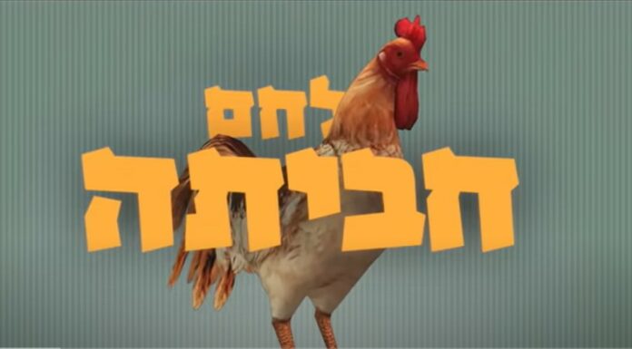 Le Tube de cet été 2023 en Israël