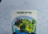 Au sommet des villes vertes : un prix prestigieux pour la ville d’Ashdod