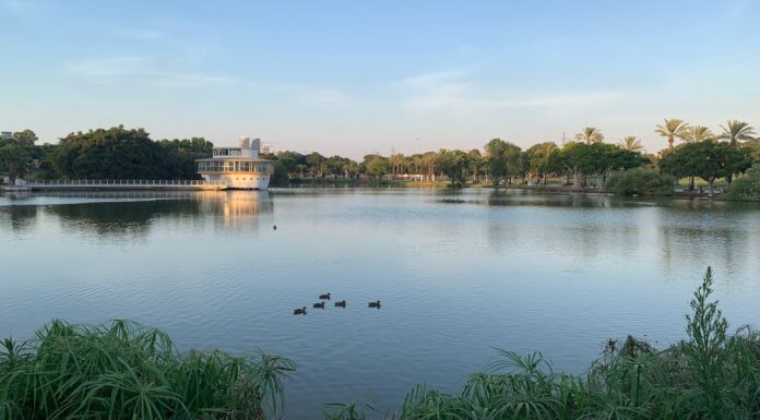 Après 20 ans, les bateaux refont leur apparition sur le lac du parc national de Ramat Gan