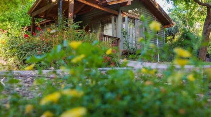 Passer les fêtes de fin d’année dans le Golan, ca vous tente ? alors ne tardez plus, contactez-nous !