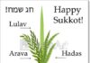SOUCCOT ou la précarité de la vie – règles, explications, horaires ….. par Dr Caroline Elisheva Rebouh