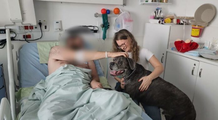 Hôpital Assuta Ashdod – La contribution du chien « Tsino » pour le rétablissement des blessés