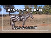 Bonne nouvelle : juste avant Hanoukah, le safari de Ramat Gan est à nouveau ouvert
