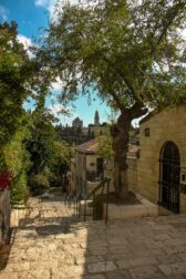 6 mn pour comprendre la contribution des sefaradim à la création et à la construction de l'État d’Israël par Rony Hayot