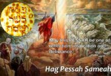 Toute l’équipe d’Ashdodcafe vous souhaite « Hag Pessah Sameah » 2026