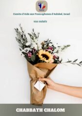 C.A.F.A.I. – Evènements et Activités culturelles à venir à Ashdod à partir du 30/05/2024