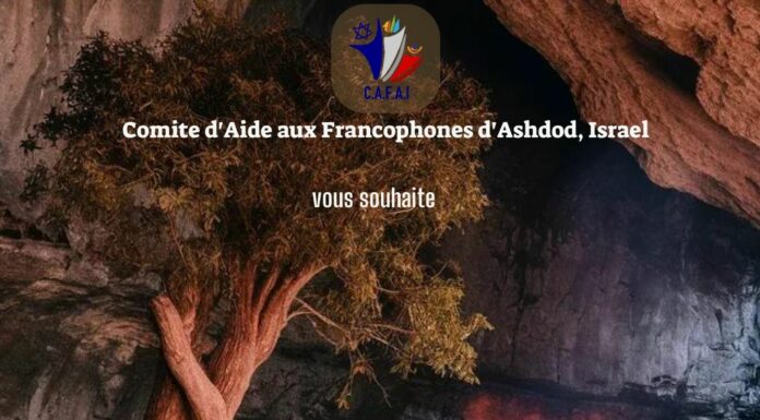 C.A.F.A.I. – Evènements et Activités culturelles à venir à Ashdod à partir du 23/05/2024