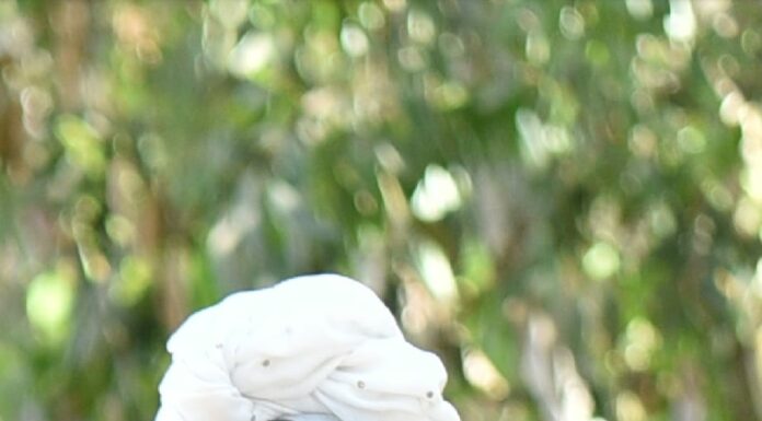 Une nouvelle directrice à l’école Maalot d’Ashdod