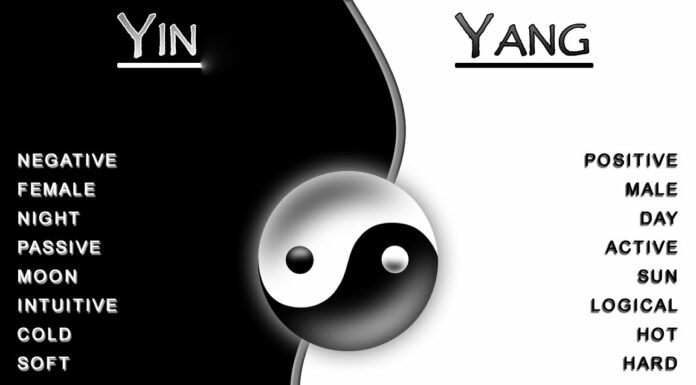 L’unité des contraires selon le Rav Kook – Rony Akrich