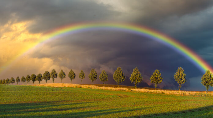 L’ARC-EN-CIEL : SIGNIFICATION par Caroline Rebouh
