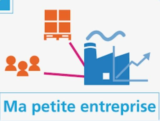 Réforme fiscale pour les petites entreprises par Yaël Maroni