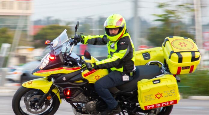 Guide du Magen David Adom pour Tou Bichvat : comment prendre soin de votre santé