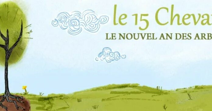 Tou Bichevat 2025 : le Nouvel An des arbres