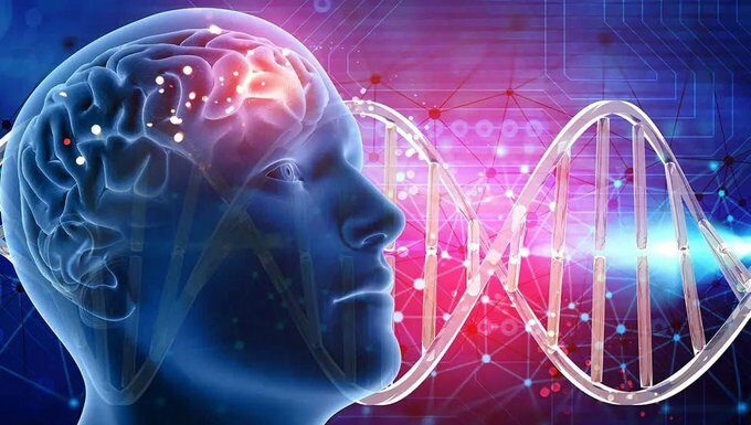 Une nouvelle avancée génétique de l’Université de Tel Aviv pourrait transformer les études sur l’autisme et le cancer