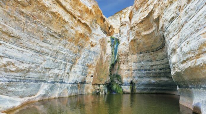 À la découverte des 8 plus belles cascades d’Israël