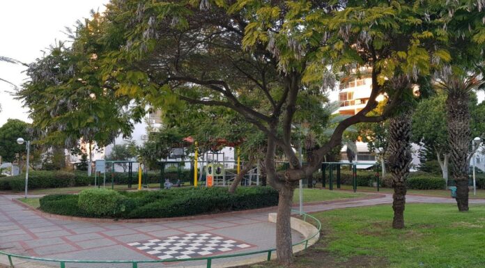 Cette année, célébrons Pessah sous le signe « de l’unité des tribus d’Israël »