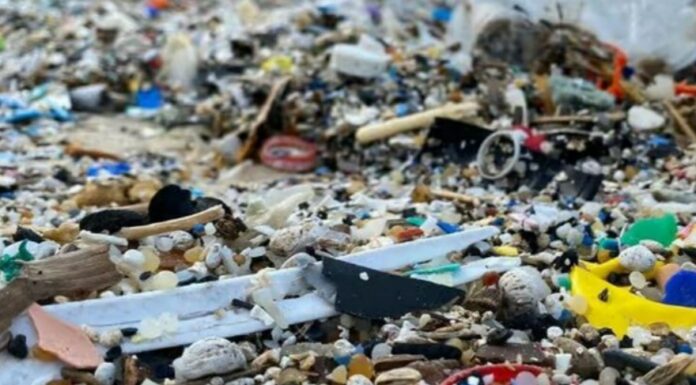 La mer est silencieuse, mais les déchets parlent : la menace environnementale s’intensifie à l’approche de Pessah !