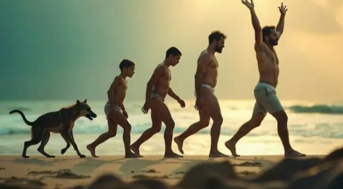 Venture Capital : les investisseurs qui font les géants de demain