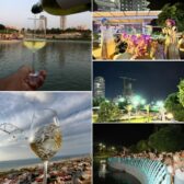 Ashdod : le Festival du vin revient – rouge ou blanc ?