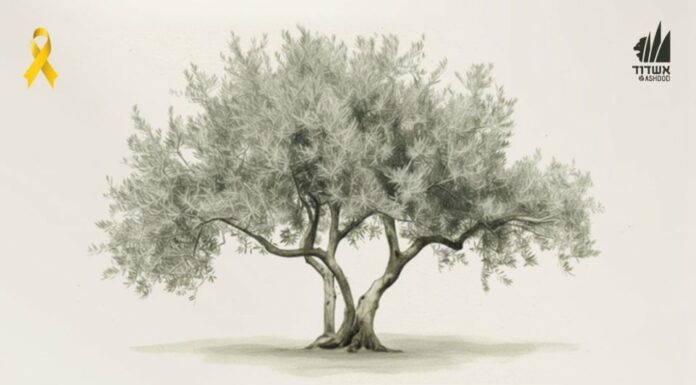 Inauguration de « L’Arbre de l’Espoir et du Souvenir » : les histoires des otages gravées dans un olivier à Ashdod