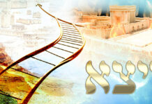 Toute l’équipe d’AshdodCafé vous souhaite «Shabbat Shalom», date, horaires, paracha